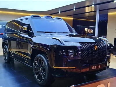 2025粤港澳车展新亮点：仰望U8L曜石黑六座版豪华登场