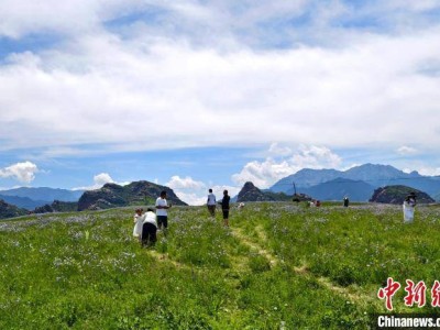端午新疆S101公路：自驾游热潮涌动天山地理画廊