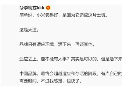 李楠力挺小米自研芯片：卖得好因适应市场，技术成长需循序渐进