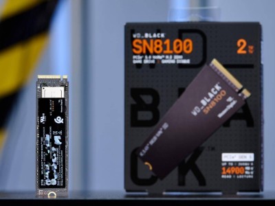 闪迪WD_BLACK SN8100：PCIe Gen5固态硬盘的性能巅峰体验