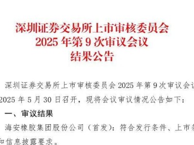 海安橡胶集团上市审核通过，轮胎行业新动力即将启航！