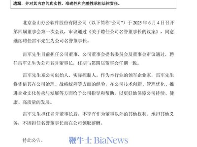 雷军再任金山办公名誉董事长，助力企业创新与发展