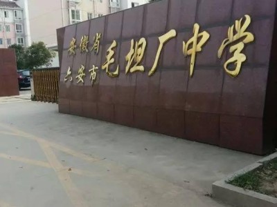 毛坦厂中学万人雨中送考，高考工厂背后的教育沉思