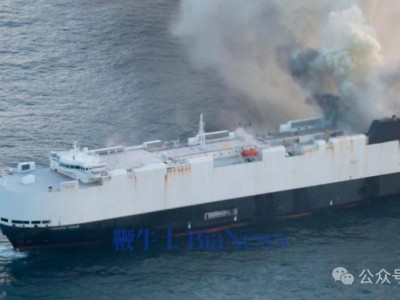太平洋中部运输船大火持续：涉事汽车品牌揭晓
