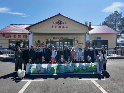 自驾逊克，解锁边境小城奇妙之旅！
