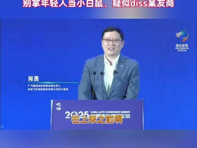 广汽埃安肖勇呼吁：智能驾驶推广需守安全底线，勿让青年成试验品