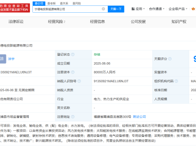 中国电力闽东电力等成立宁德电投新能源公司  注册资本8亿