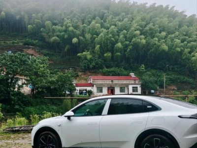 新能源电车“驶”入乡村，特斯拉、蔚来等能否破解续航与设施难题？