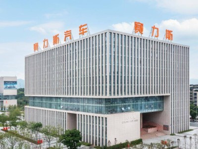 张兴海领航赛力斯：新能源汽车如何成为绿色外交新名片？