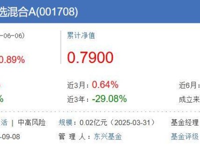 东兴改革精选混合基金换帅，业绩落后基准超四成引关注