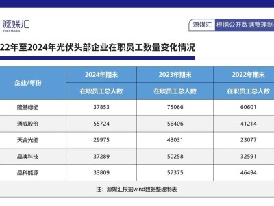 光伏巨头隆基绿能：裁员近半，业绩首亏，未来路在何方？