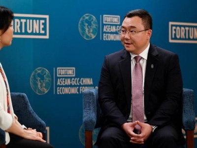 赛力斯张正萍：中国高端电动车如何破局，智能与安全并进？