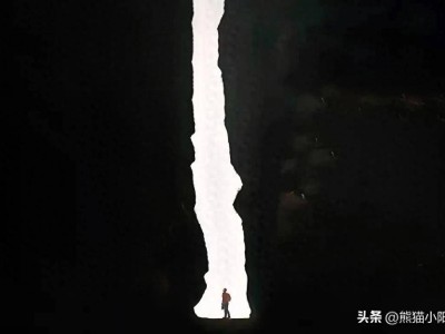 国产插混崛起，合资油混落幕：混动市场迎来历史性变革