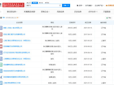 揭秘李雪琴被举报存财务问题涉事公司
