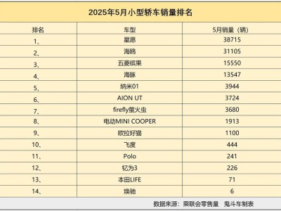 小型轿车市场5月销量揭晓：新能源霸榜，燃油车型何去何从？