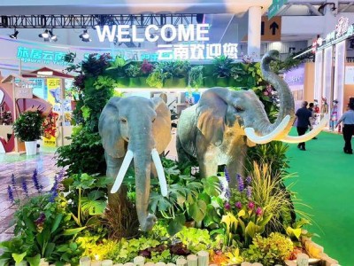 第九届南博会探馆：旅居云南馆里品味地道“乡村味”