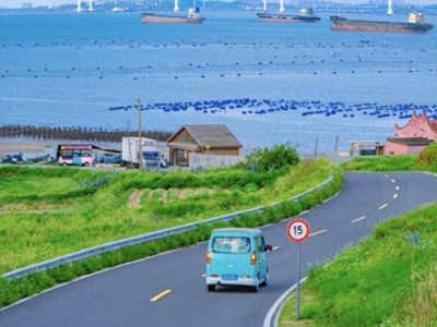 自驾游不再是自由旅行的代名词，你发现了吗？