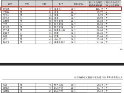 江特电机2024年业绩下滑却利润增长，47岁董事长胡春晖年薪破百万