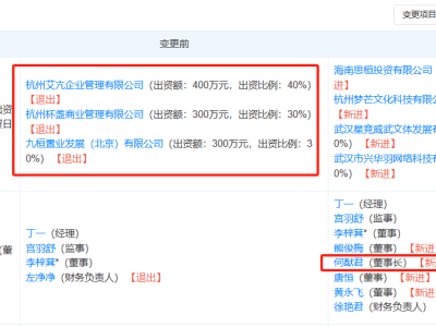 何猷君入主寰聚商业，接替王思聪成新任董事长