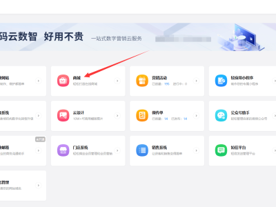 中小企业必看！轻松上手，打造专属小程序的全攻略