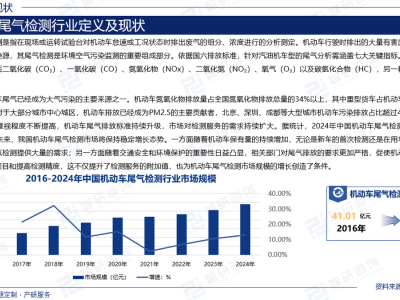 中国机动车尾气检测市场：2025至2031年趋势研判与投资策略指南