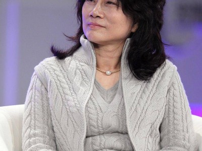 董明珠的学历之谜：从普通销售到格力董事长的传奇之路