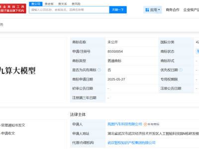岚图汽车申请鲲鹏九算大模型商标 岚图汽车申请鲲鹏大脑商标