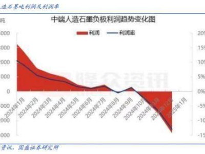 负极材料赛道黑马逆势崛起，出货量增50%却面临资金挑战