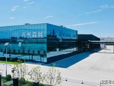 元气森林：小小气泡水如何撑起710亿消费帝国？