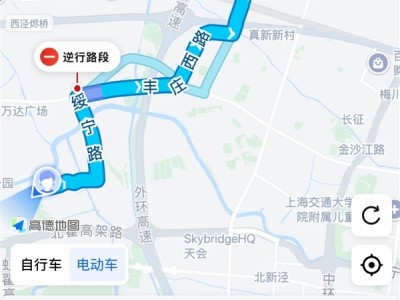 高德地图被曝提供逆行导航路线，回应称仅作展示用途