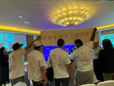 神州控股股东大会风波：增发授权通过，中小股东权益何去何从？