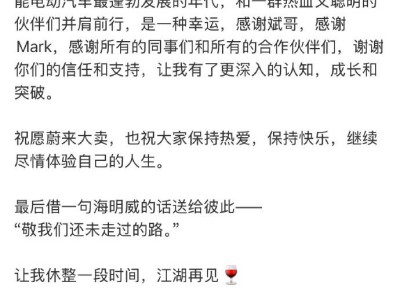 蔚来汽车技术规划首席专家胡成臣宣布离职，自研芯片战略面临新考验