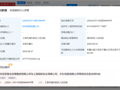 杉杉控股等被列为老赖