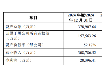至信股份冲刺上交所IPO，西南地区民营汽车零部件生产领军企业