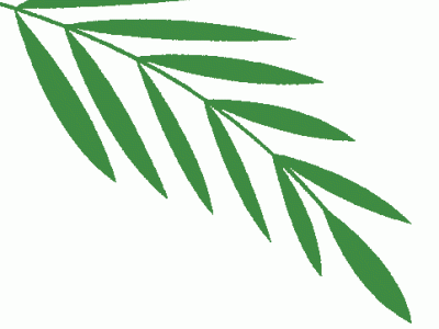 高考志愿怎么填？多彩宝“高考志愿通”帮你开启理想大学之门！