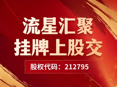武汉流星汇聚跨境电商挂牌成功，领航中国品牌走向世界