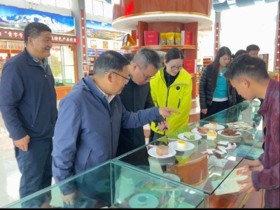 沪企代表赴果洛调研：深化经贸协作，共谋高质量发展新篇章