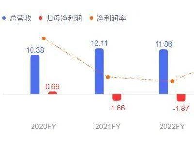 金种子酒换帅何秀侠离任，三年改革未改亏损困境