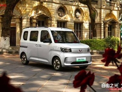 五菱之光EV“進取型”來襲，續航破300公里，實用微面全國預訂中