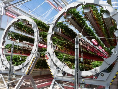 戴森垂直农场：500公斤轮架与智能机器人打造高效草莓种植新模式