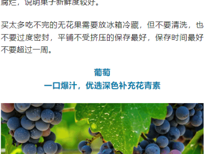 夏日健康之选！新华社推荐七月必尝五种水果，黄皮果榜上有名