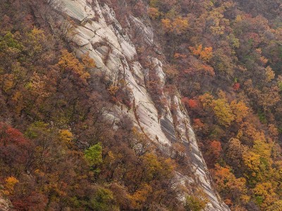 北极村装空调：气候变化下的生活变迁与无奈选择