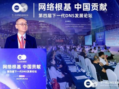 AI时代新挑战：如何构建安全高效的韧性DNS系统？