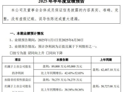 华工科技上半年业绩亮眼，归母净利润预计增长超四成