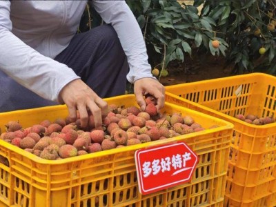 电商新生态研讨会聚焦：专家共议千亿扶持下的高质量发展路径