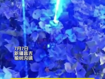 全球首款棉花激光打顶机器人亮相：准确率达 98.9%