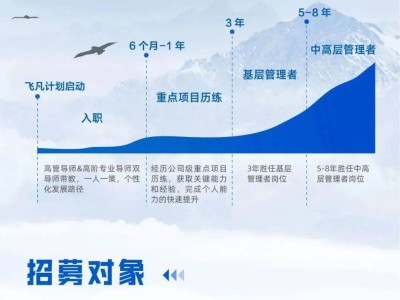 科大讯飞2026届飞凡计划：人才招募新篇章，智慧未来等你加入