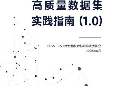 2025高质量数据集建设指南：解锁AI发展新路径