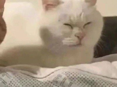连续工作超8小时闭眼休息3分钟被解雇？法院：违法！