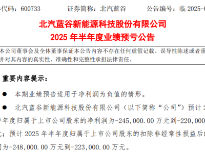 北汽蓝谷上半年预计亏损22亿至24.5亿，下半年毛利率望改善